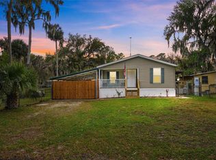 9450 NE 306th Ct, Salt Springs, FL 32134