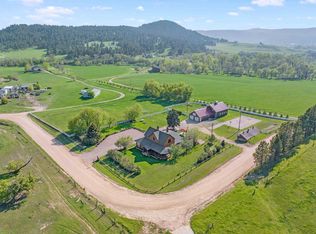 8195 Deerview Rd, Piedmont, SD 57769