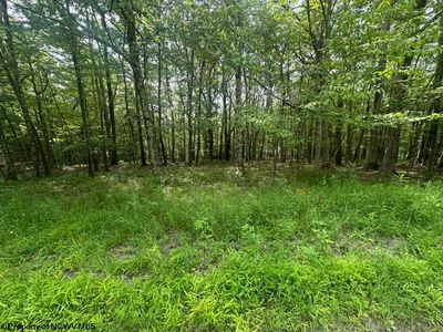 Lots 85 And 86 Lakeview Dr, Terra Alta, WV, 26764