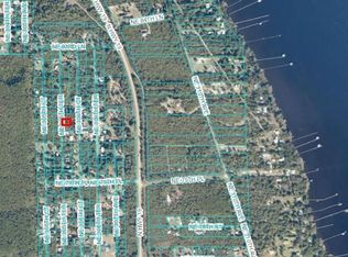 8125 NE 305th Ter, Salt Springs, FL 32134