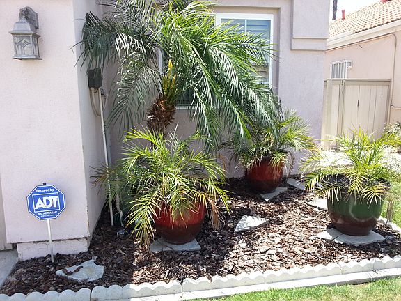3rd image of 28053 Lemonwood Dr