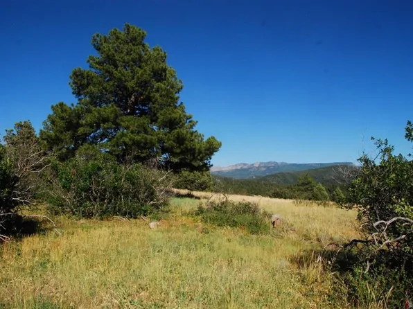 X US Hwy 84 #114, Pagosa Springs, CO 81147