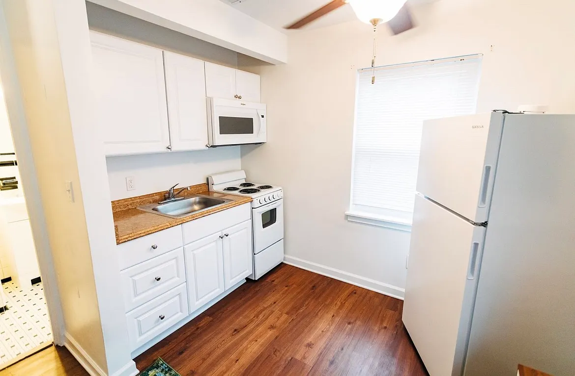 Studio, 350 sqft, $650 — Photo 3