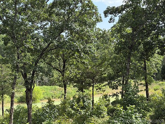 3rd image of Double Springs Rd