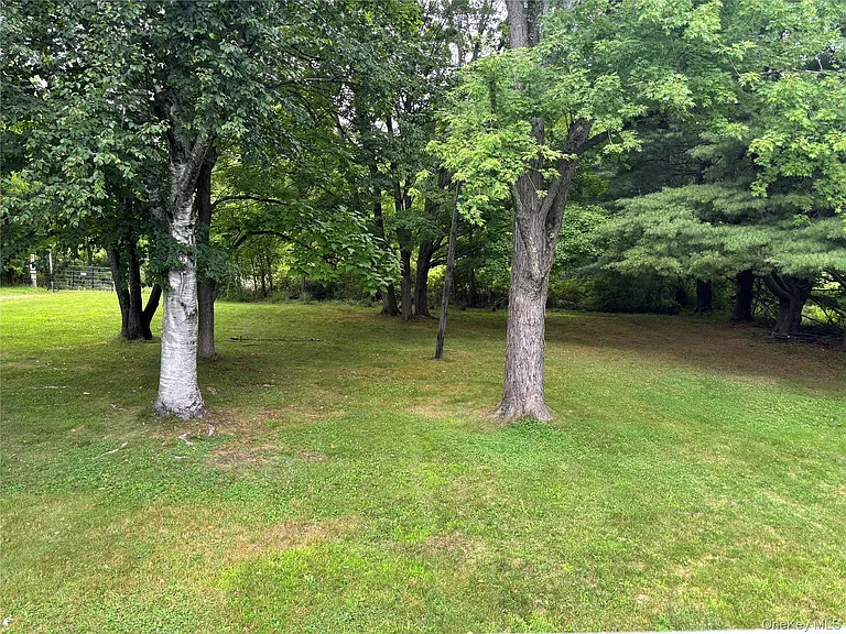 239 Vineyard Ave — Photo 2