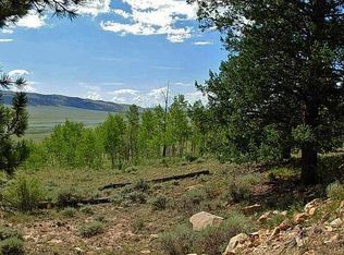 Tbd Redhill Rd, Fairplay, CO 80440