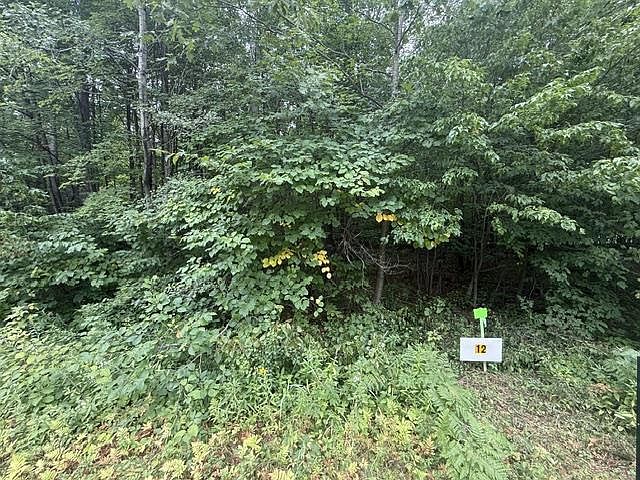 1st image of Lot 12 BURMA ROAD