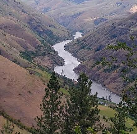 Beautiful view of the Salmon