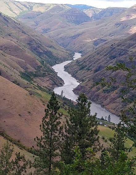 Beautiful view of the Salmon