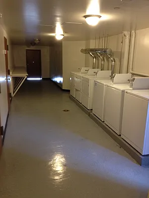 Rented by Bloom Real Estate Group | media 2