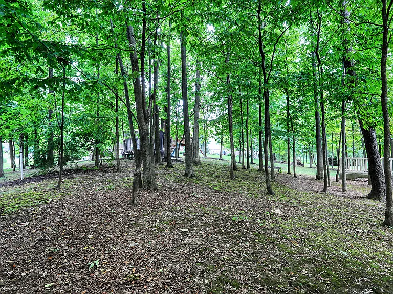 16893 Oak Manor Dr — Photo 74