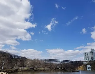 Rented by Bold New York