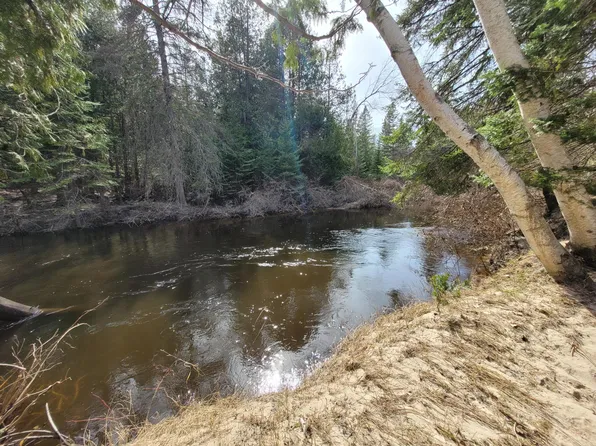 14581 N River Ln, Ocqueoc, MI 49759