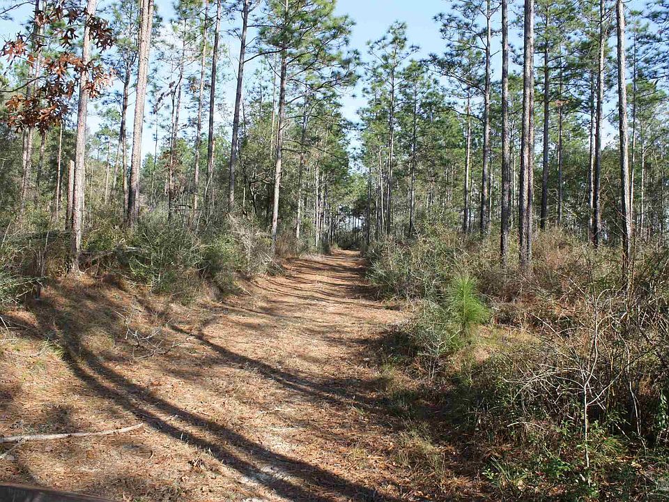 2nd image of 0 Gordon Land Rd