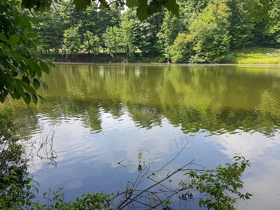 Lake view from property