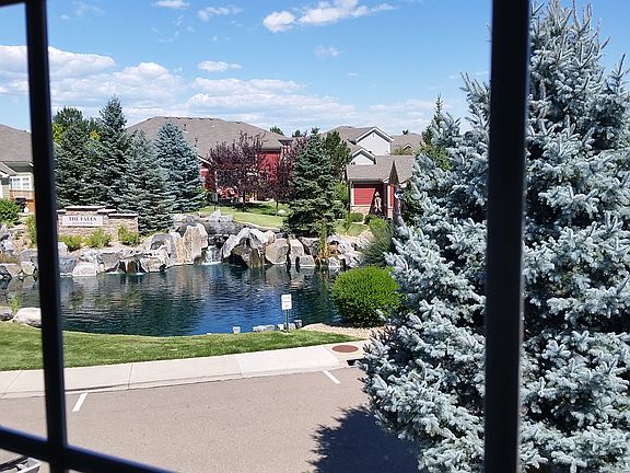 View from the front room