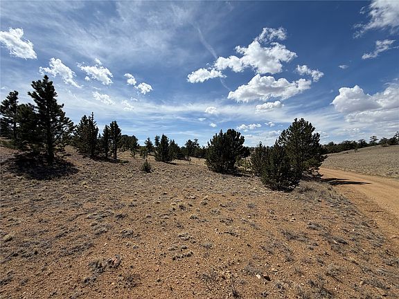 3rd image of 2839 Fitzsimmons Rd