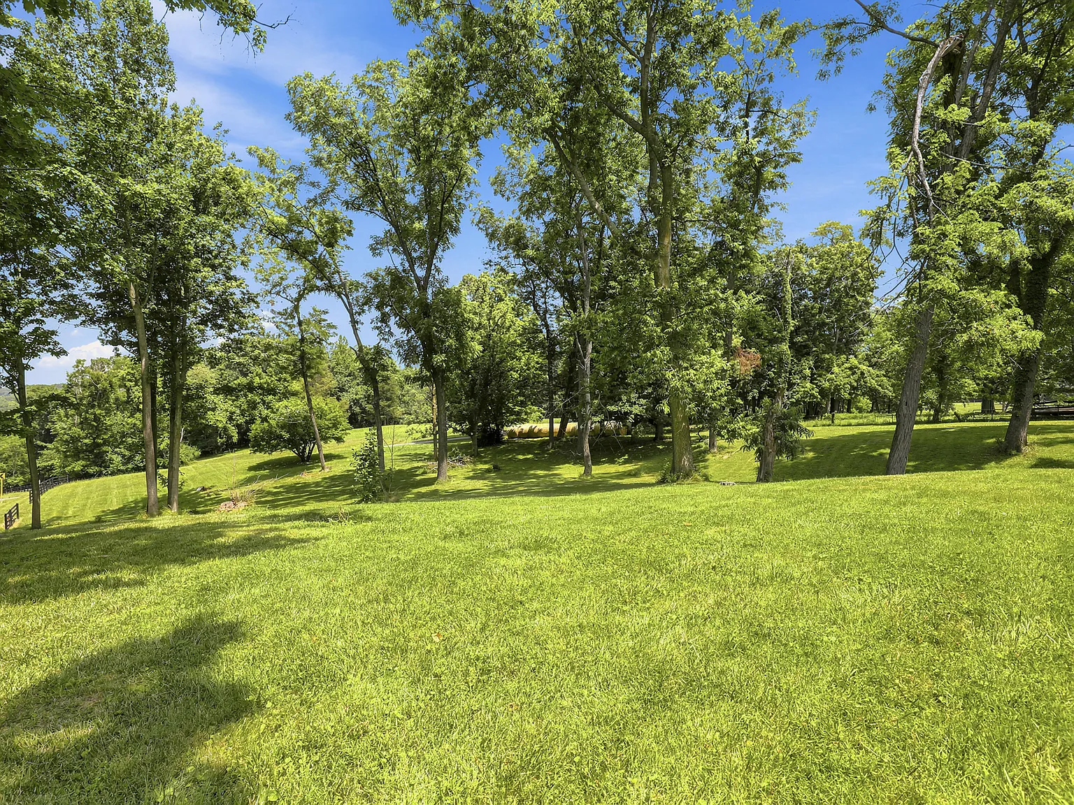 1 bed, 1000 sqft, $1,250 — Photo 4