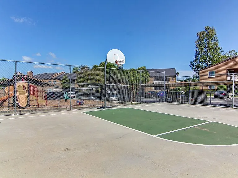 Basketball