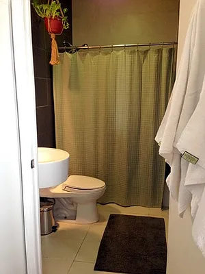 Rented by Brooklyn IQ Properties Inc | media 11