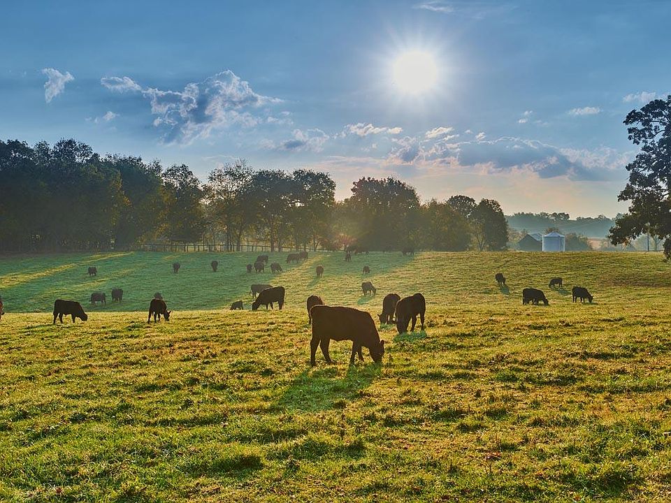Dow's Hills by Ideal Homes in Washington OK Zillow