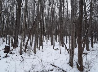 0 Blake Hill Rd, Van Etten, NY 14889