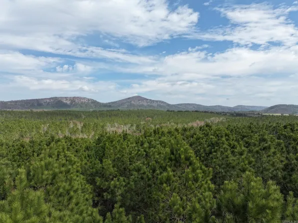 J Dunson Rd, Langley, AR 71952