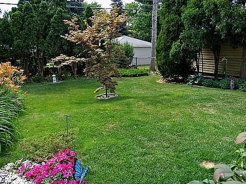 PRIVATE BACKYARD