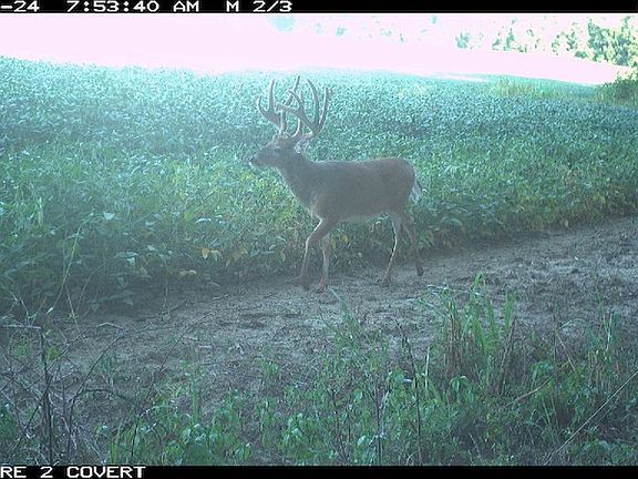 3rd image of 0 E 425th Ave