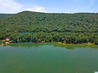 LOT 19 Saunders Bridge Rd, Sterrett, AL 35147