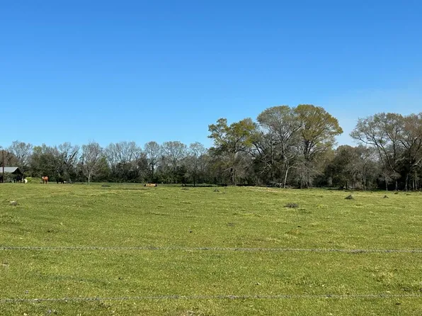 16.6 Ac Dale Cty Rd #530, Midland City, AL 36350