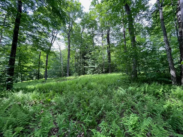 0 Cliffs Hollow Lane, Wilmington, VT 05363
