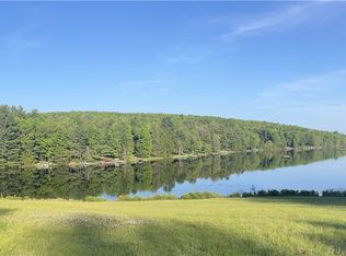 103 Blueberry Dr, Deposit, NY 13754