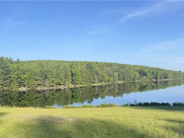 103 Blueberry Dr, Deposit, NY 13754