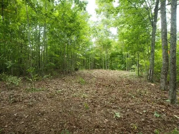 Mate Allen Rd, Hilham, TN 38568