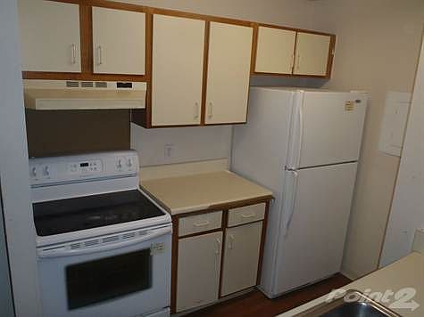 Orlando Real Estate