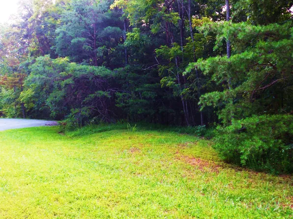 40 Red Fin Ln, Moneta, VA 24121