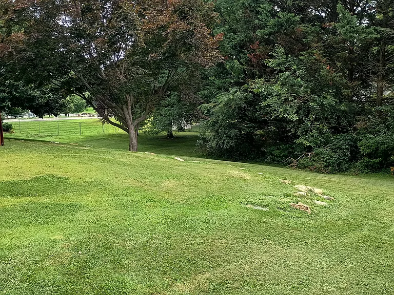 204 Knob Creek Ln — Photo 6