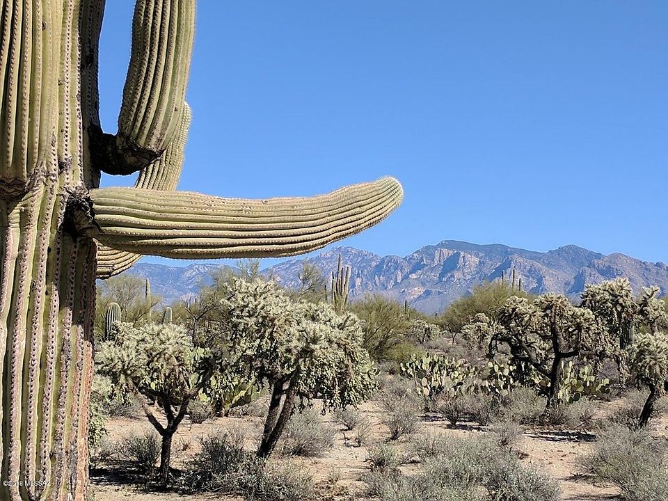 1st image of 4987 W Camino De Manana
