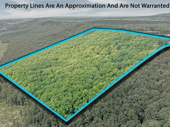 14698 State Highway 117, Henagar, AL 35978