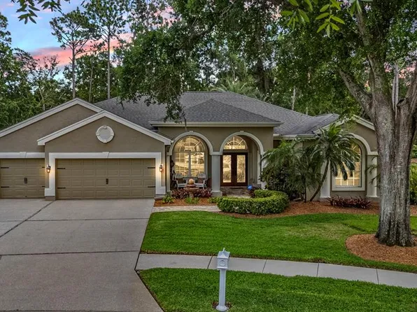 3596 Florian Ter, Palm Harbor, FL 34685