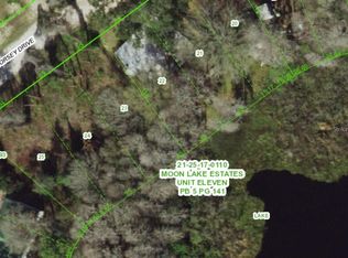12350 Dorsey Dr #23, New Pt Richey, FL 34654