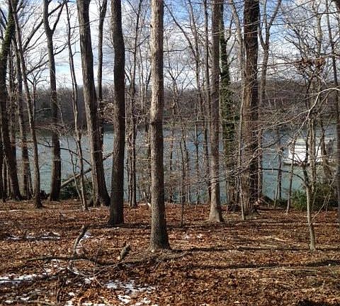 2nd image of LOT 4 Capewood Dr