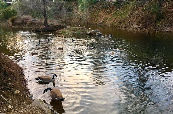 5th image of 3304 Shasta Dam Blvd Spc 59
