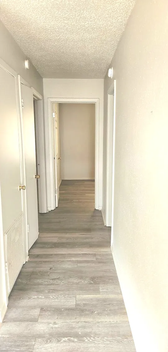 985 Monet Dr — Photo 4