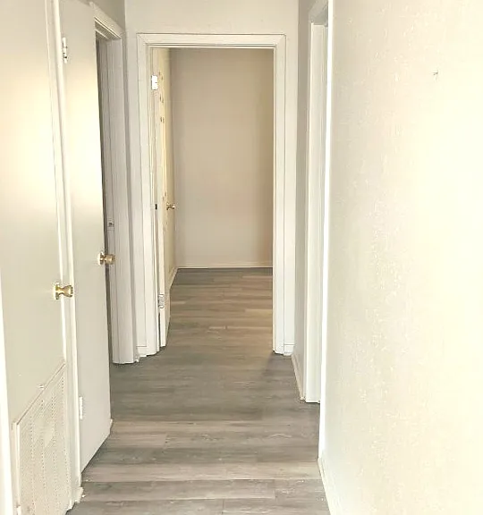 985 Monet Dr — Photo 4