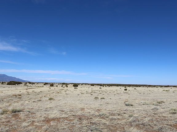 4th image of Greenhorn Vlg Lot 133