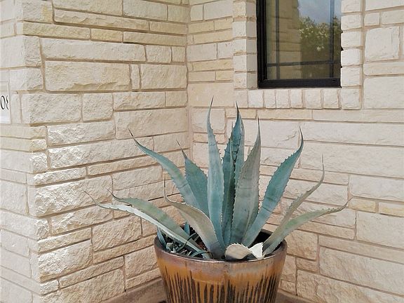 Large Agave Plant & Planter