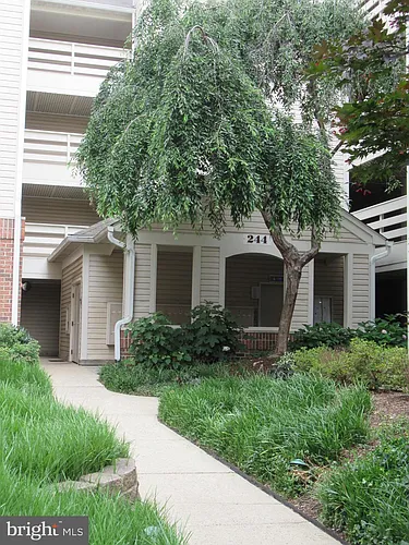 244 S Reynolds St Photo 1