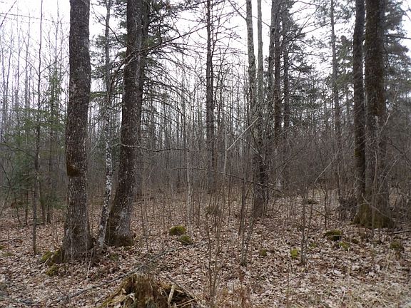 2nd image of 40+/- Acres Off Wright Road